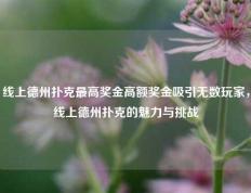 线上德州扑克最高奖金高额奖金吸引无数玩家，线上德州扑克的魅力与挑战