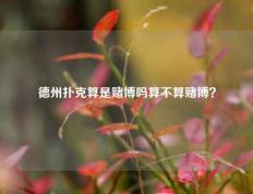 德州扑克算是赌博吗算不算赌博？