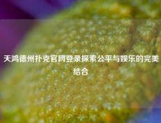 天鸿德州扑克官网登录探索公平与娱乐的完美结合