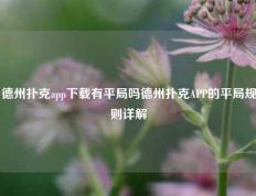 德州扑克app下载有平局吗德州扑克APP的平局规则详解