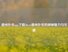 德州扑克app下载3beat德州扑克的神秘魅力与乐趣