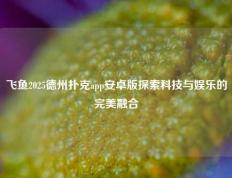 飞鱼2025德州扑克app安卓版探索科技与娱乐的完美融合