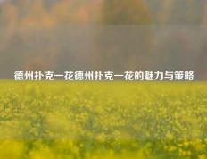 德州扑克一花德州扑克一花的魅力与策略