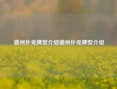 德州扑克牌型介绍德州扑克牌型介绍