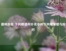德州扑克 下风期德州扑克中的下风期策略与应对