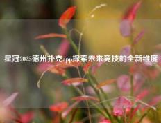 星冠2025德州扑克app探索未来竞技的全新维度