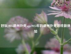 好玩2025德州扑克app2025年的德州扑克游戏新体验