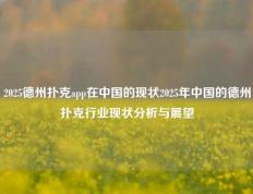 2025德州扑克app在中国的现状2025年中国的德州扑克行业现状分析与展望
