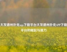大发德州扑克app下载平台大发德州扑克APP下载平台的崛起与潜力
