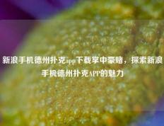 新浪手机德州扑克app下载掌中豪赌，探索新浪手机德州扑克APP的魅力