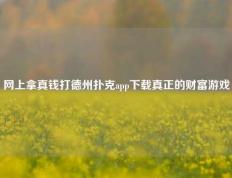 网上拿真钱打德州扑克app下载真正的财富游戏