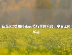 在线2025德州扑克app技巧掌握策略，享受无限乐趣