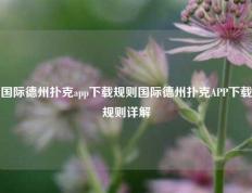 国际德州扑克app下载规则国际德州扑克APP下载规则详解