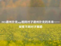 2025德州扑克app相同对子德州扑克的未来——探索不同对子策略