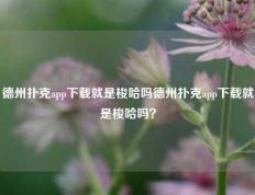 德州扑克app下载就是梭哈吗德州扑克app下载就是梭哈吗？