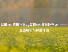 就爱2025德州扑克app就爱2025德州扑克APP —— 全面解析与深度体验