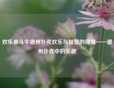 欢乐来斗牛德州扑克欢乐与智慧的碰撞——德州扑克中的乐趣