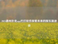 2025德州扑克app代打软件探索未来的娱乐新途径
