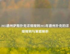2025德州萨斯扑克详细规则2025年德州扑克的详细规则与策略解析