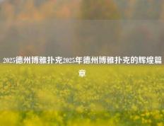 2025德州博雅扑克2025年德州博雅扑克的辉煌篇章