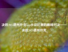 决胜2025德州扑克app小说比赛的巅峰对决——决胜2025德州扑克