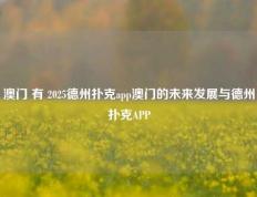 澳门 有 2025德州扑克app澳门的未来发展与德州扑克APP