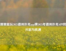 哪里能玩2025德州扑克app牌2025年德州扑克APP的兴起与机遇