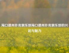 海口德州扑克俱乐部海口德州扑克俱乐部的兴起与魅力