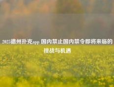 2025德州扑克app 国内禁止国内禁令即将来临的挑战与机遇