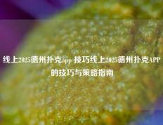 线上2025德州扑克app 技巧线上2025德州扑克APP的技巧与策略指南