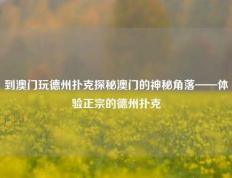 到澳门玩德州扑克探秘澳门的神秘角落——体验正宗的德州扑克