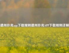德州扑克app下载规则德州扑克APP下载规则详解