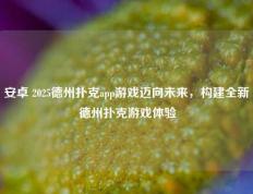 安卓 2025德州扑克app游戏迈向未来，构建全新德州扑克游戏体验