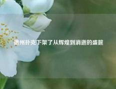 德州扑克下架了从辉煌到消逝的盛筵