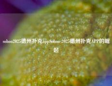 sohoo2025德州扑克appSohoo 2025德州扑克APP的崛起