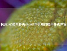 杭州2025德州扑克app2025年杭州的德州扑克体验