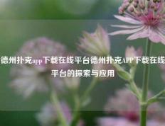 德州扑克app下载在线平台德州扑克APP下载在线平台的探索与应用