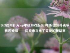 2025德州扑克app单机游戏版2025年的德州扑克单机游戏版——探索未来电子竞技的新篇章