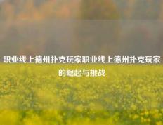 职业线上德州扑克玩家职业线上德州扑克玩家的崛起与挑战