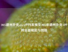 2025德州扑克appAPP开发预见2025年德州扑克APP的全面崛起与创新