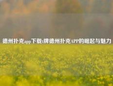 德州扑克app下载t牌德州扑克APP的崛起与魅力
