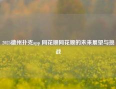 2025德州扑克app 同花顺同花顺的未来展望与挑战