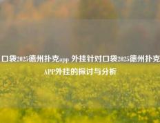 口袋2025德州扑克app 外挂针对口袋2025德州扑克APP外挂的探讨与分析