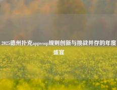 2025德州扑克appwsop规则创新与挑战并存的年度盛宴