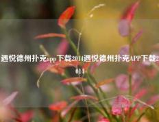 遇悦德州扑克app下载2014遇悦德州扑克APP下载2014
