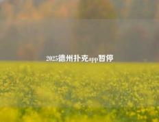 2025德州扑克app暂停