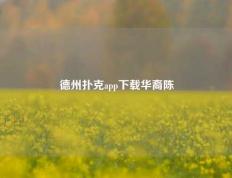 德州扑克app下载华裔陈