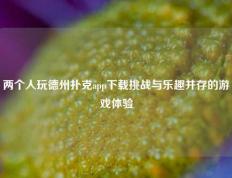 两个人玩德州扑克app下载挑战与乐趣并存的游戏体验