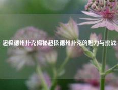 超极德州扑克揭秘超极德州扑克的魅力与挑战