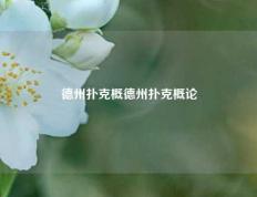 德州扑克概德州扑克概论